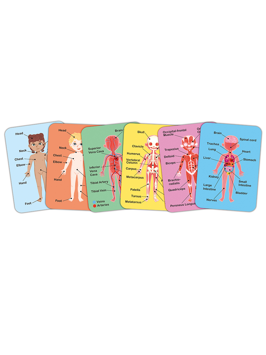 Пазл Hape - фото 9