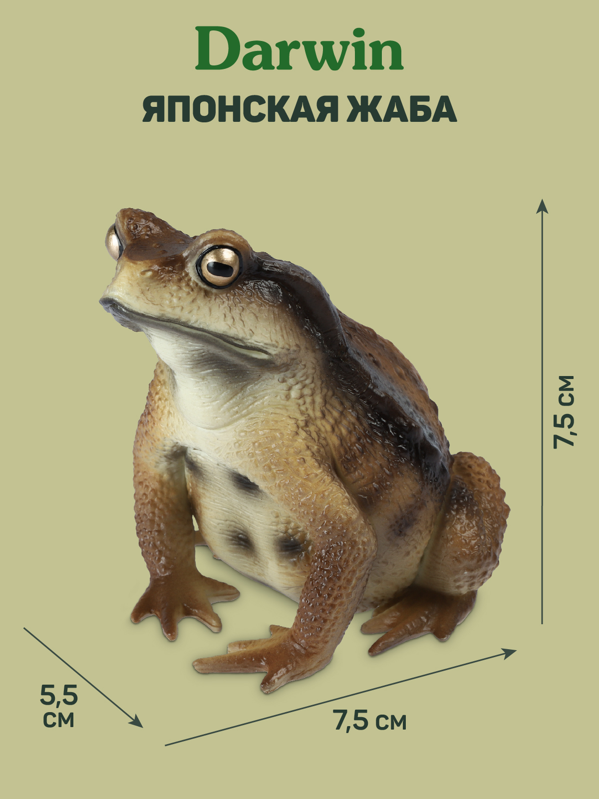 Фигурка DARWIN Животные Жаба - фото 3