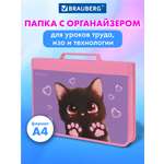 Папка для труда Brauberg А4