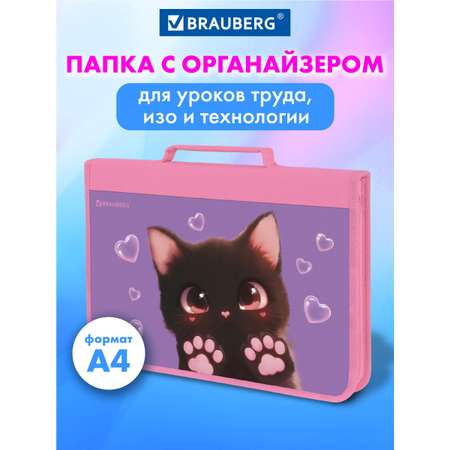 Папка для труда Brauberg А4