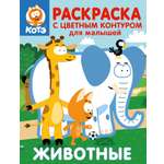 Раскраска АСТ Котёнок Котэ С цветным контуром для малышей Животные