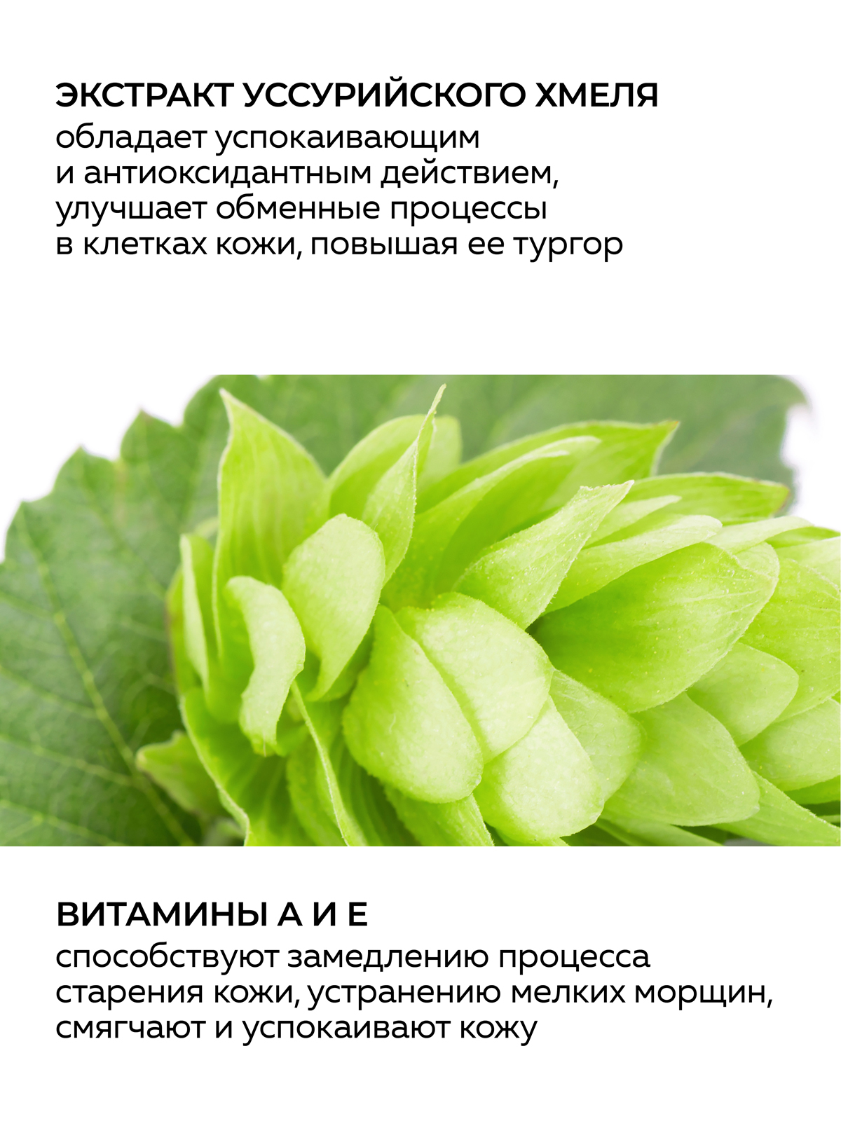 Крем Green Mama дневной для лица с хмелем 100 мл 1 шт. - фото 3