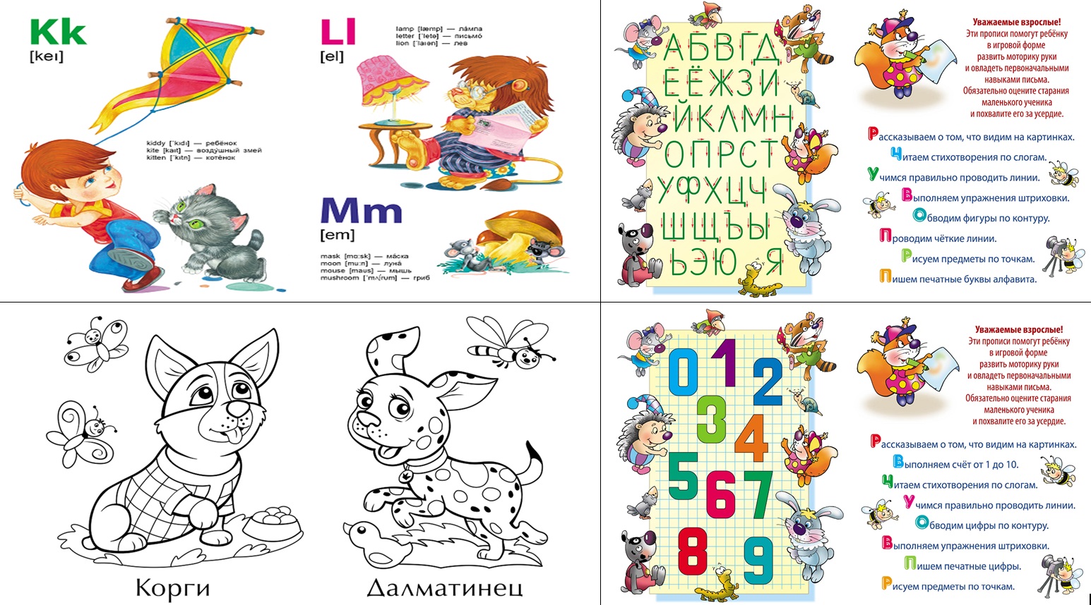 Комплект дошкольника Книжный дом универсальный - фото 2