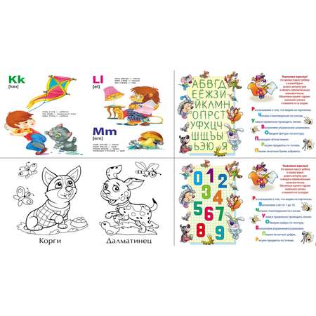 Комплект дошкольника Книжный дом универсальный