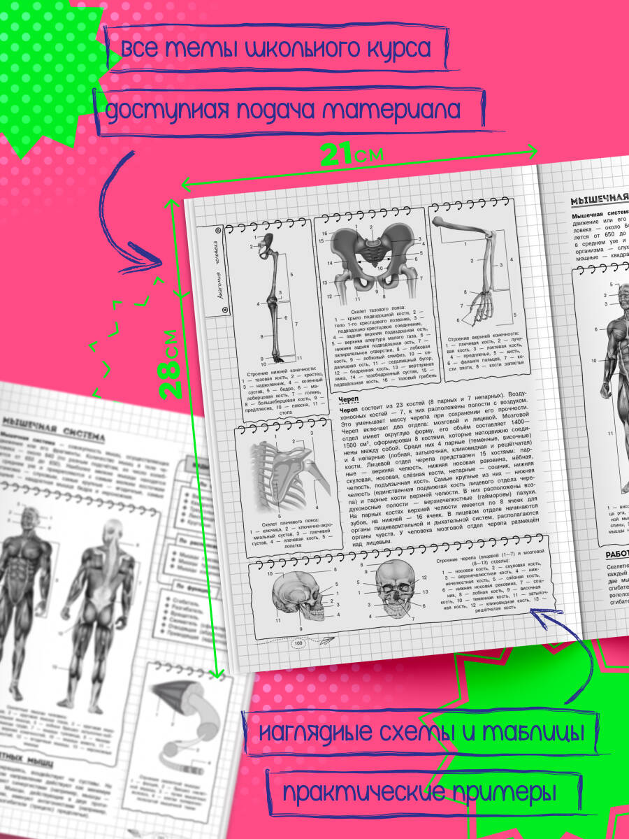 Книга Эксмо Биология - фото 2