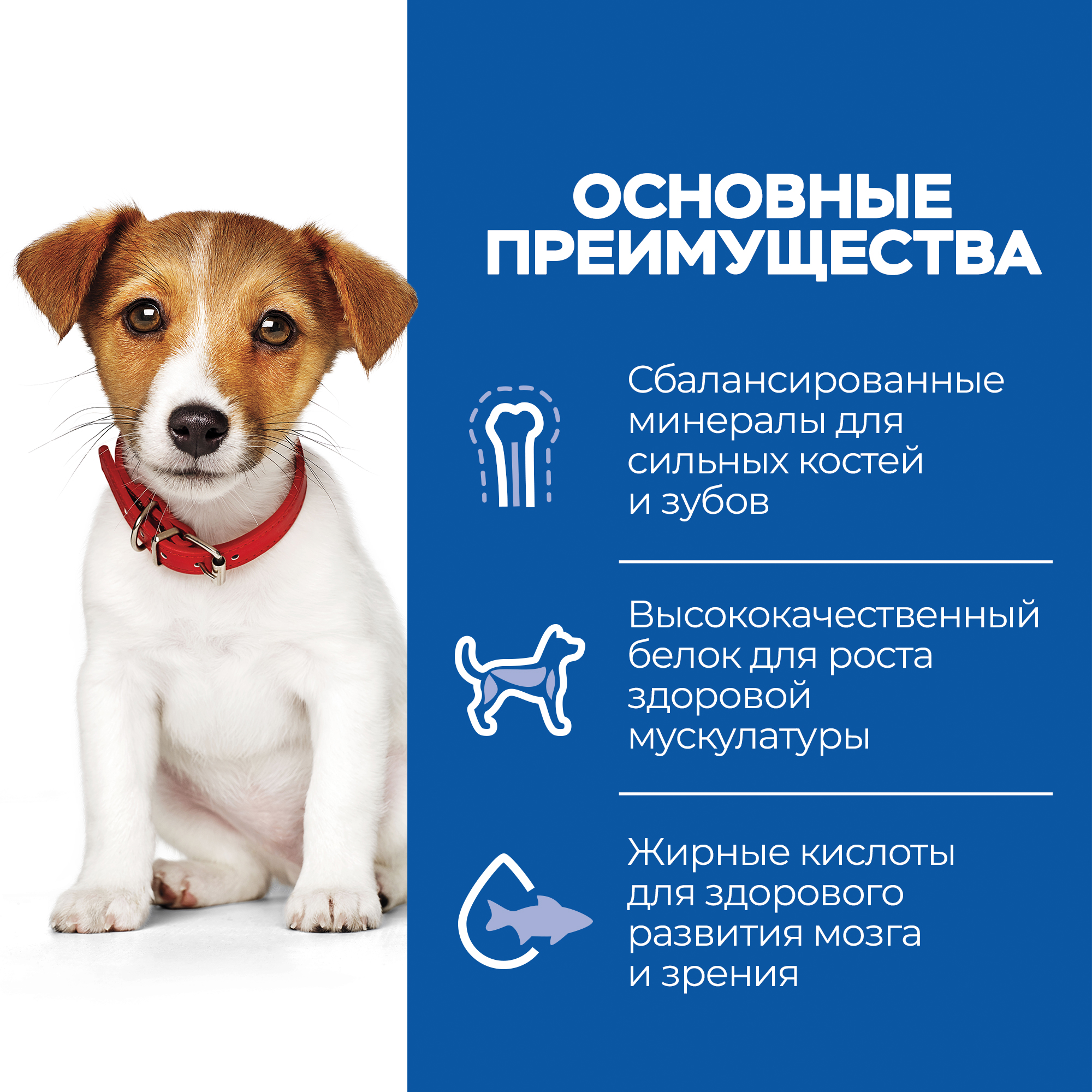 Корм для щенков HILLS Science Plan мелких пород для поддержания здорового роста и развития с ягненком и рисом 1.5кг - фото 5