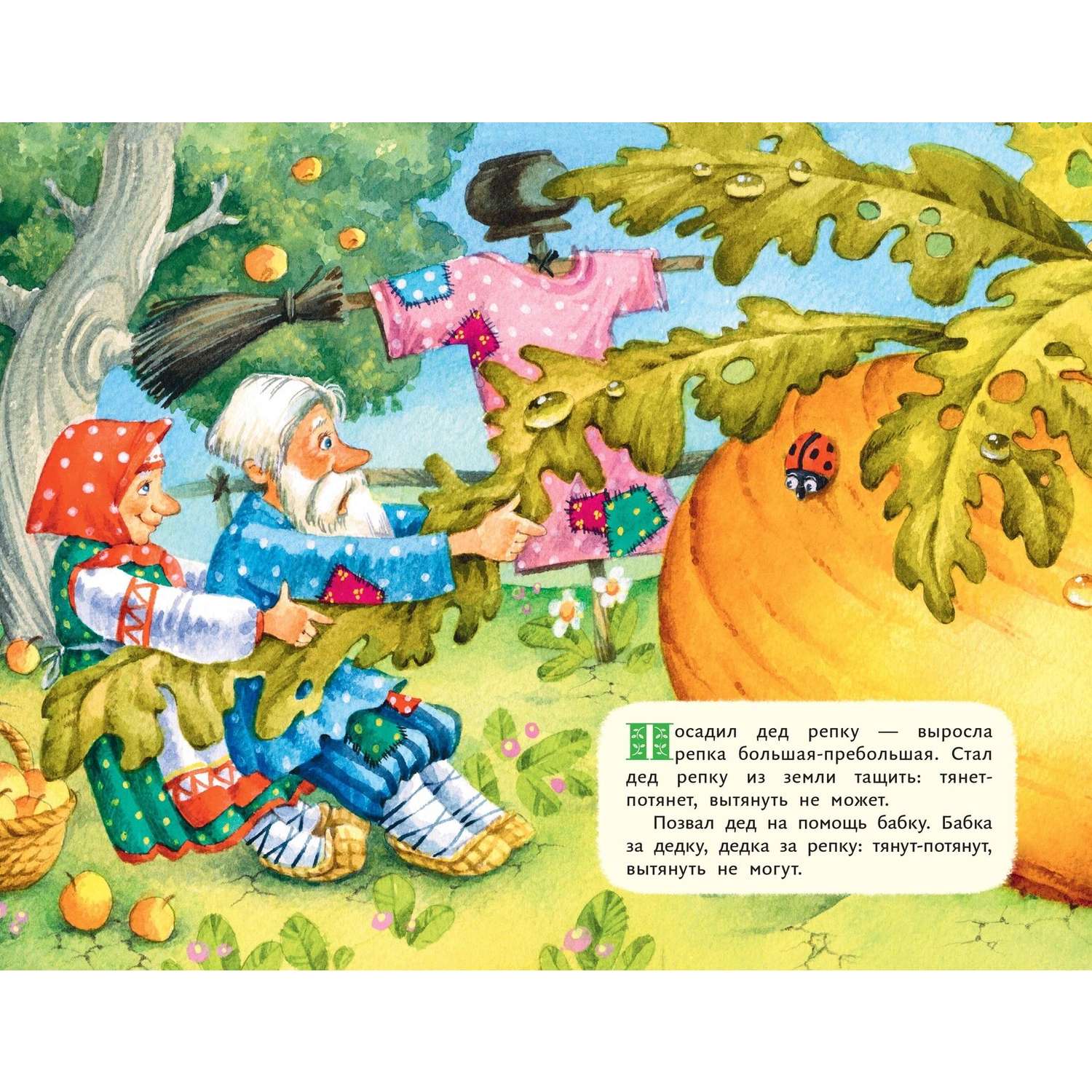 Книга Репка иллюстрации Якимовой - фото 2