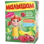 Нектар Малышам из смеси фруктов 0.2л с 6месяцев
