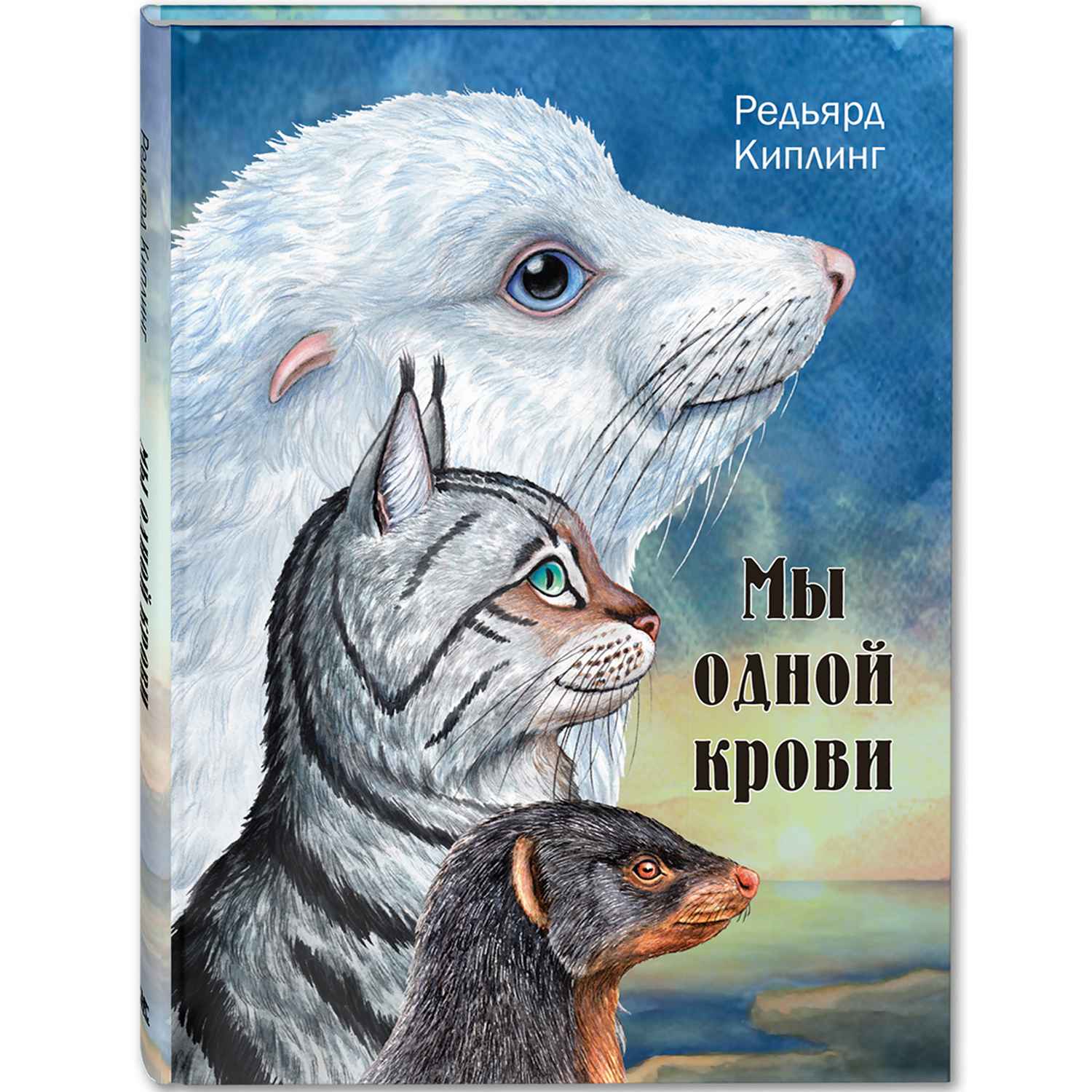Книга ЭНАС-книга Мы одной крови - фото 1