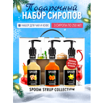 Набор сиропов SPOOM Имбирь Облепиха Ваниль для чая и кофе 3 шт по 250 мл и 3 помпы
