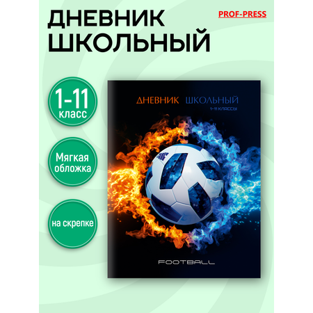 Дневник школьный Prof-Press 40 листов