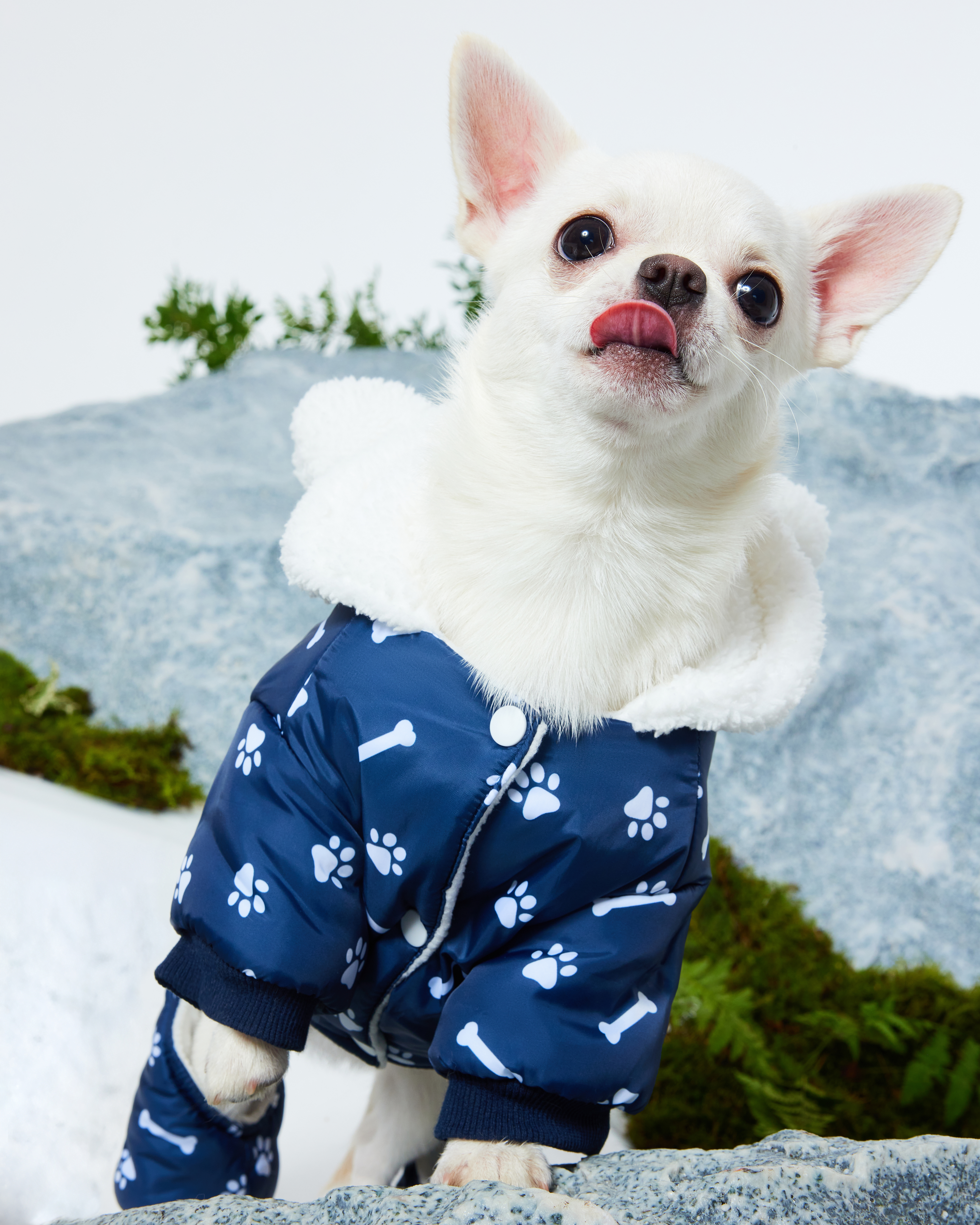 Комбинезон для собак и кошек Зоозавр - фото 12