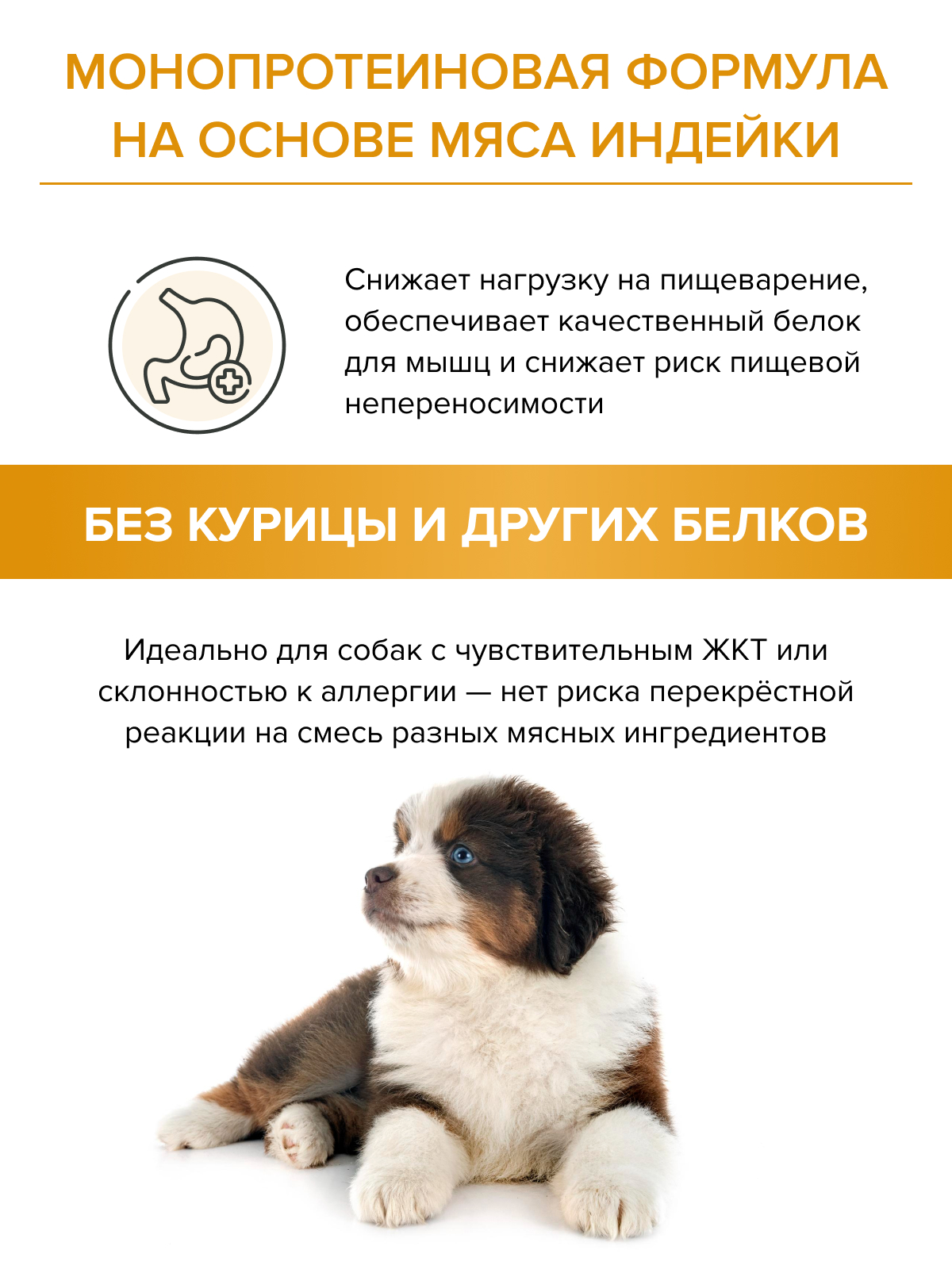 Корм для щенков DOCTRINE сухой с индейкой и рисом 3 кг - фото 6