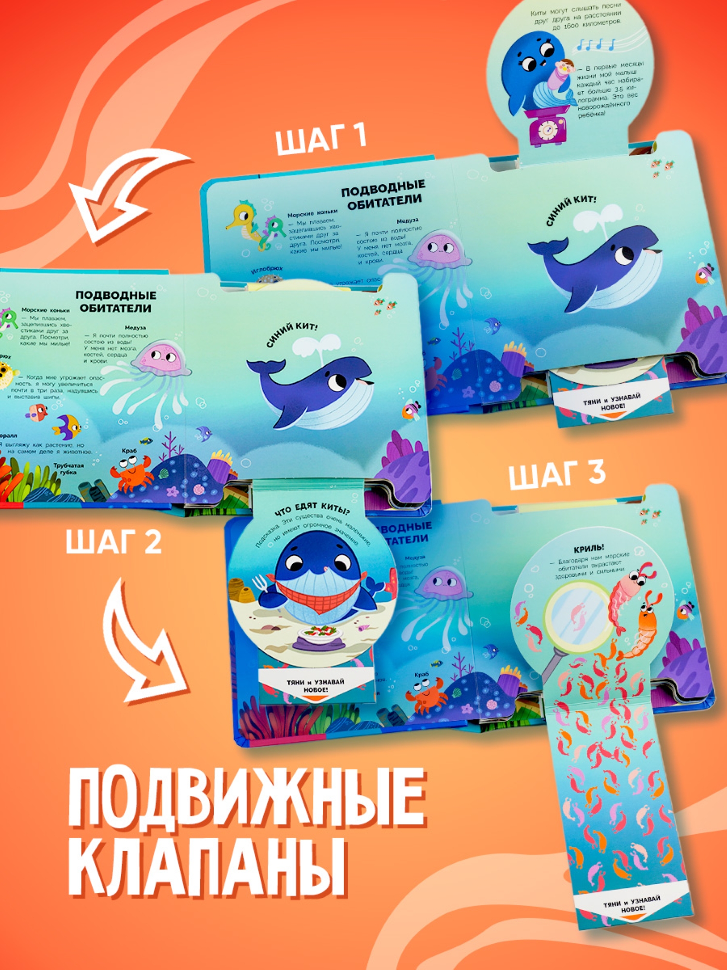 Книга АСТ Интерактивная Животные - фото 5