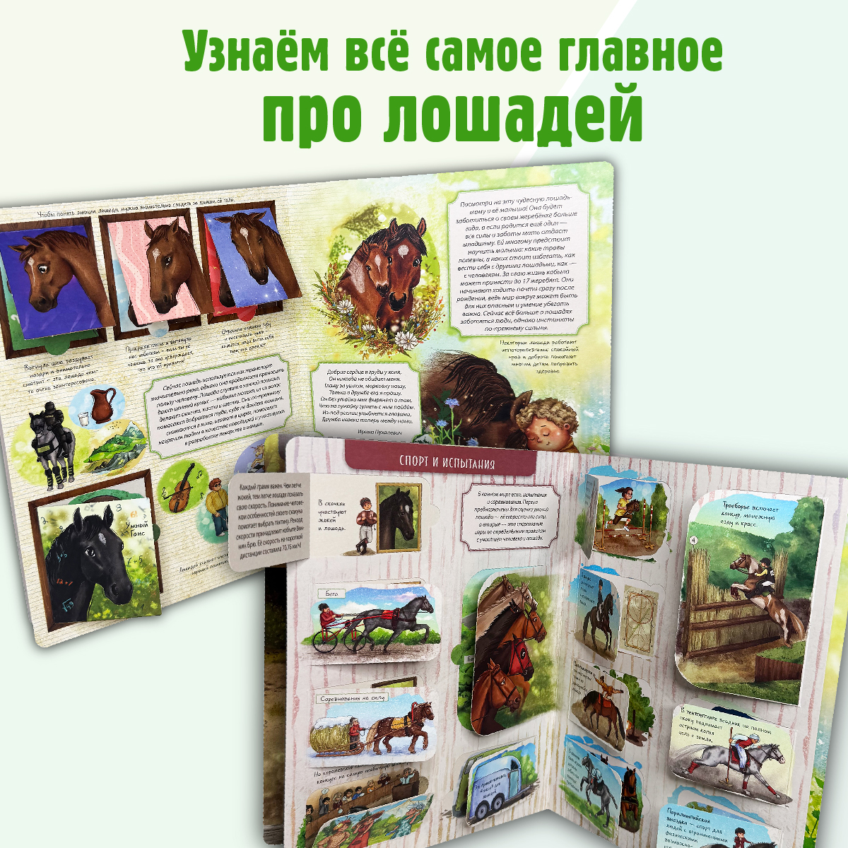 Энциклопедия с окошками БимБиМон книга детская - фото 2