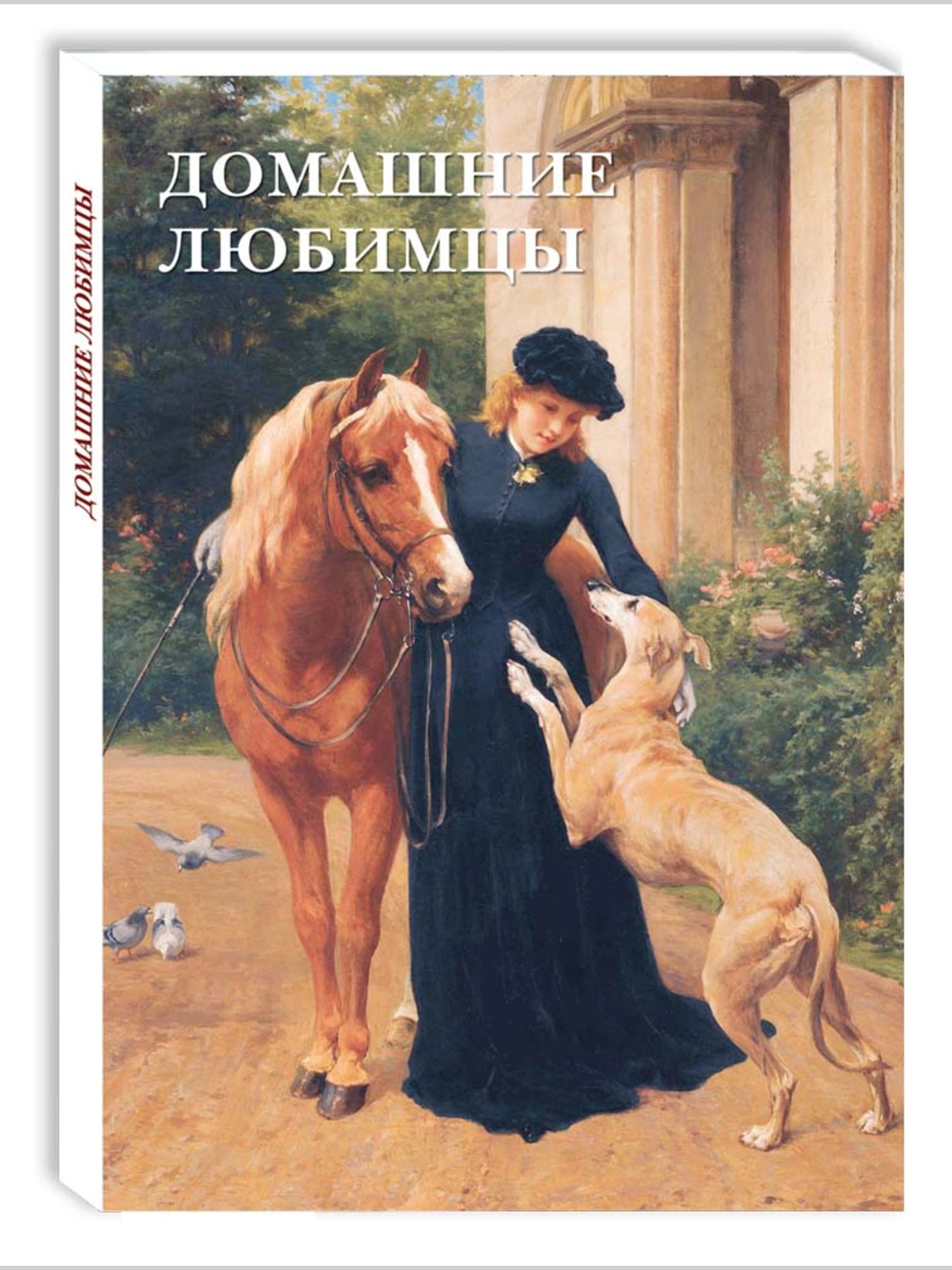 Набор открыток Белый город Домашние любимцы - фото 1