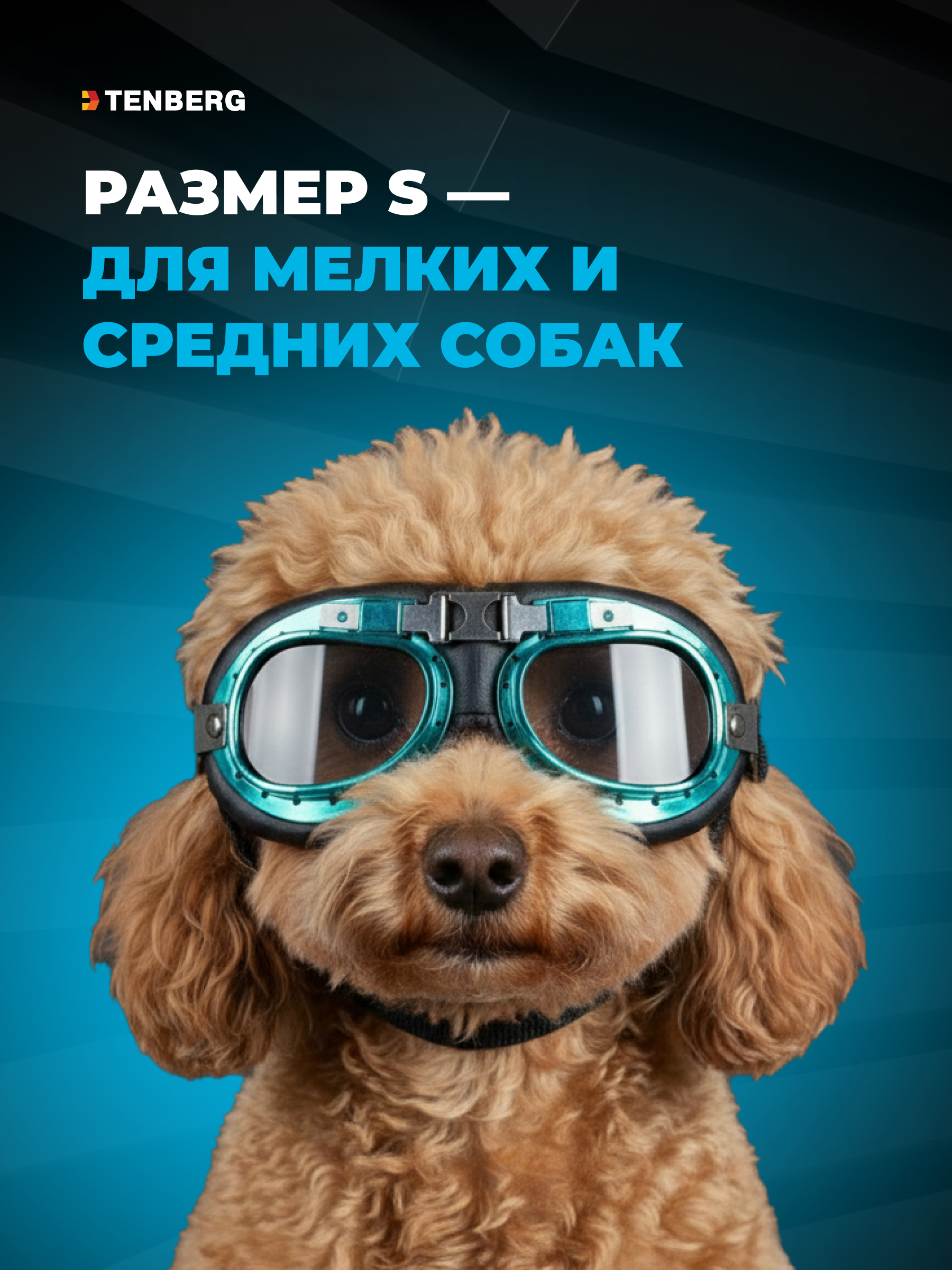 Солнцезащитные очки для собак TENBERG Barkley UV Mini - фото 2