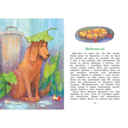 Книга МАХАОН Медвежонок Тедди и другие сказки Блайтон Э.