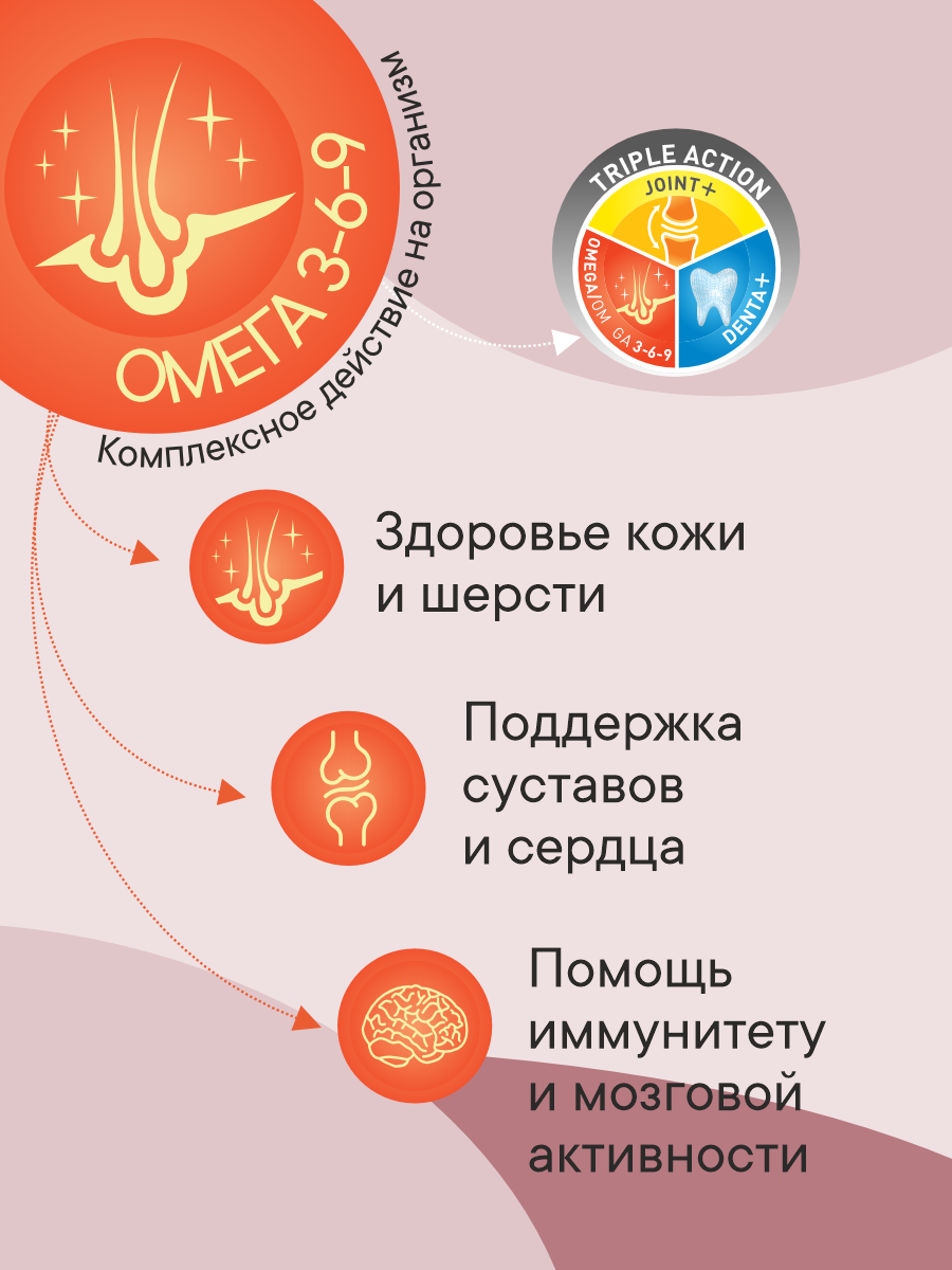 Корм сухой 1st Choice Здоровая кожа и шерсть для пожилых собак средних и крупных на ягненке 2.72кг - фото 2