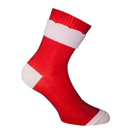Носки 2 пары Master Socks