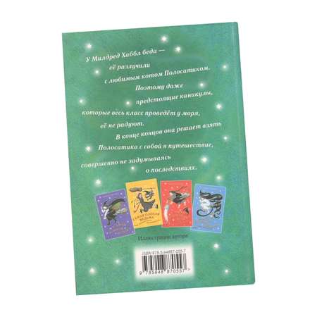 Книга Лабиринт Самая плохая ведьма. Нескучные каникулы