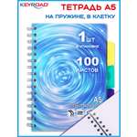 Общая тетрадь KEYROAD клетка 100 лист.