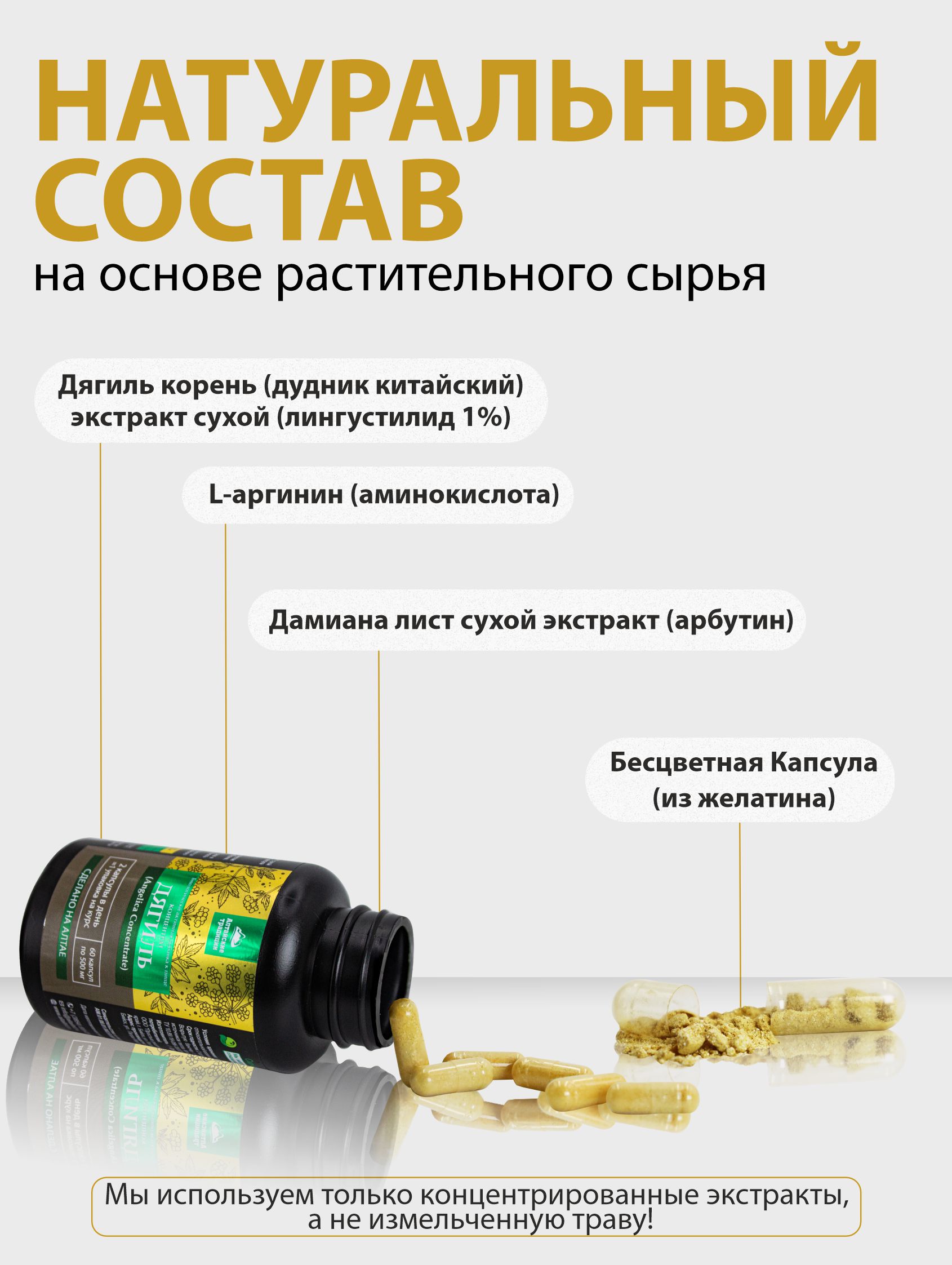 БАД к пище Алтайские традиции Концентрат Дягиль 60 капсул по 500 мг - фото 4