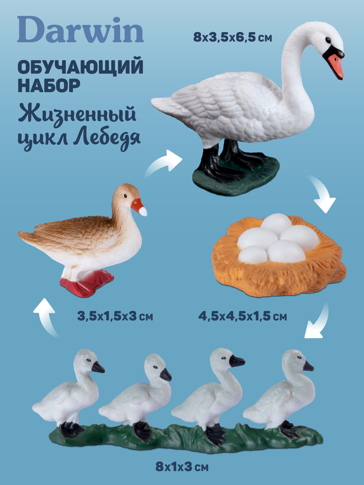 Игровой набор DARWIN Животные Лебедь - фото 3