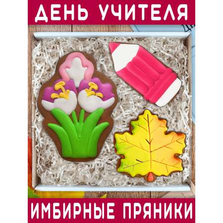 Пряники имбирные ручной работы Вкусный подарок Подарочный набор на 1 сентября и День учителя