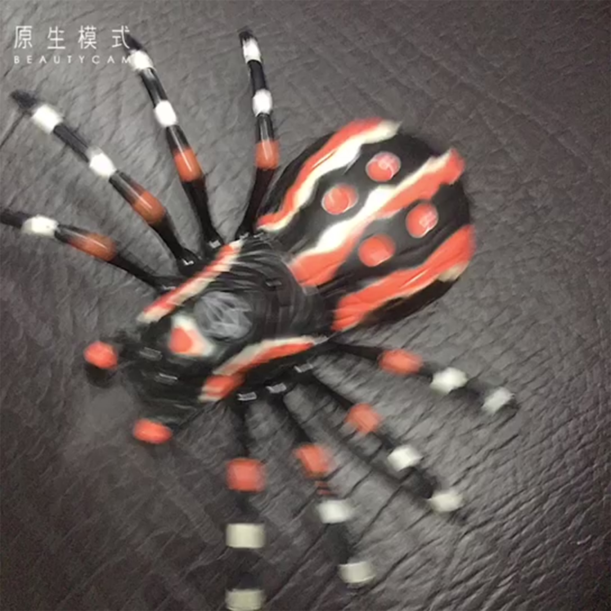 Насекомое РУ Veld Co - фото 5