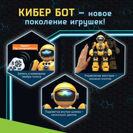Робот РУ IQ BOT Кибер Бот