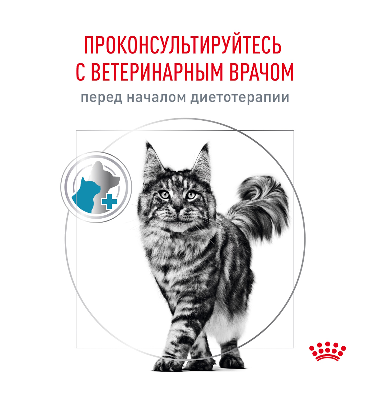 Корм для кошек ROYAL CANIN Сенситивити Контр 85г - фото 9