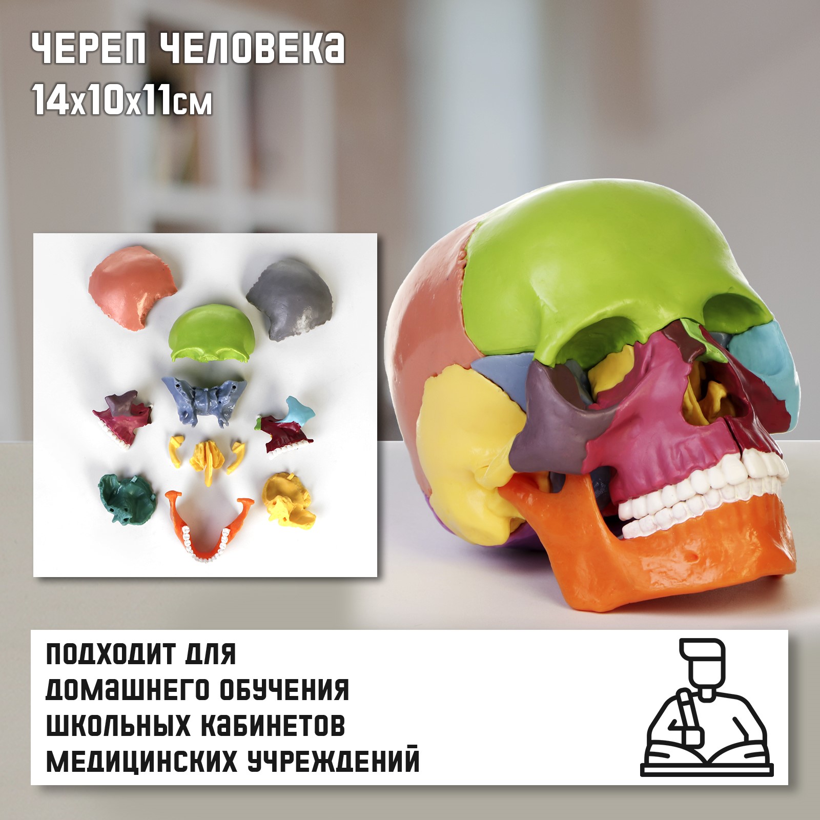 Наглядное пособие Sima-Land - фото 1