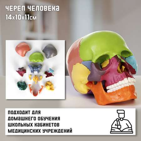 Наглядное пособие Sima-Land