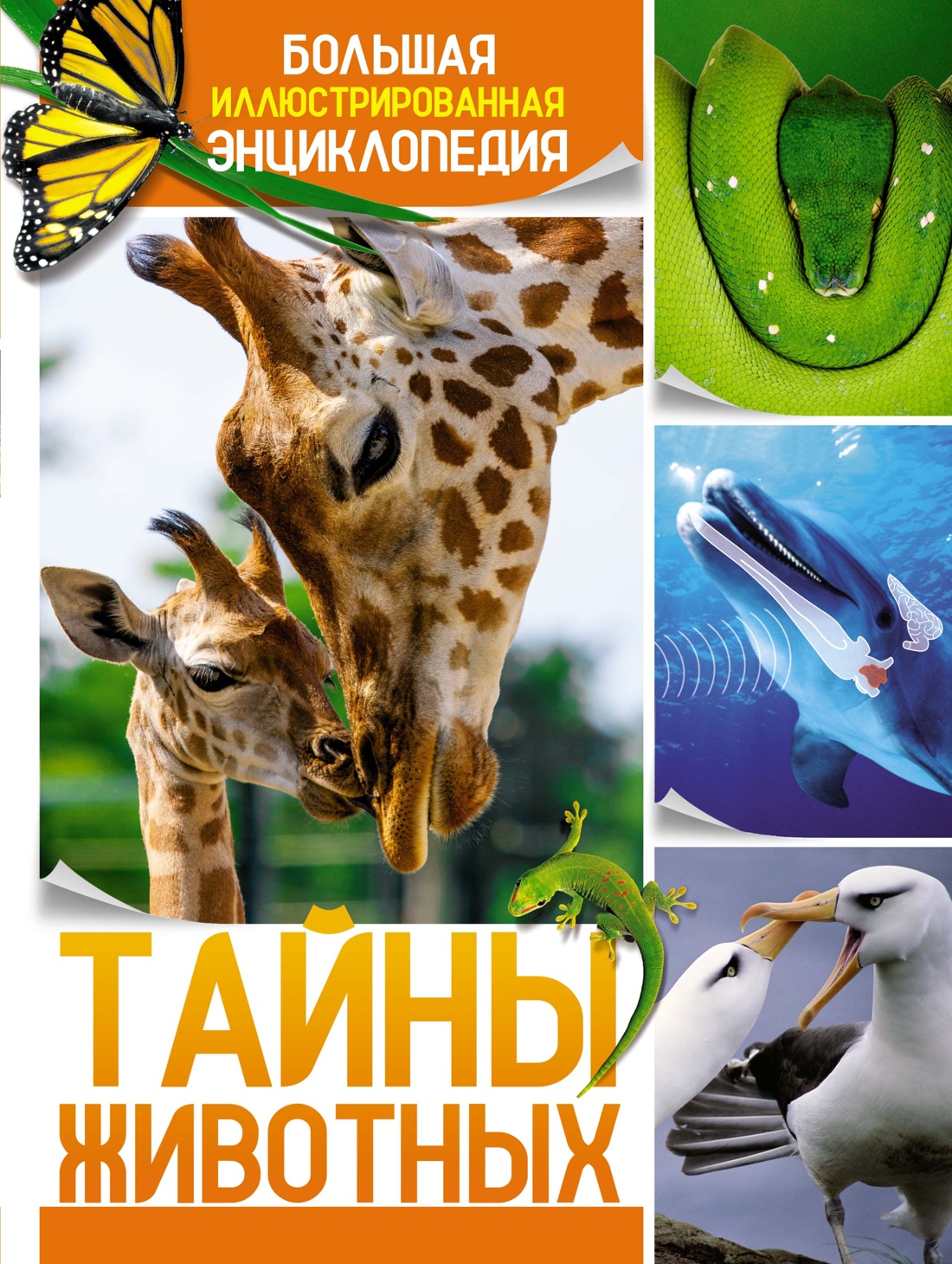 Книга Махаон Бертонатти К. Перейра Х. А. Тайны животных - фото 1