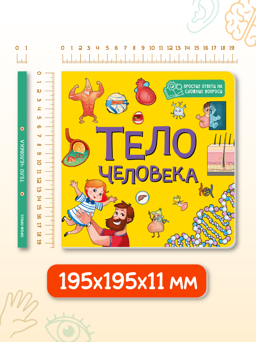 Книжка картонная Проф-Пресс энциклопедия Тело человека - фото 6