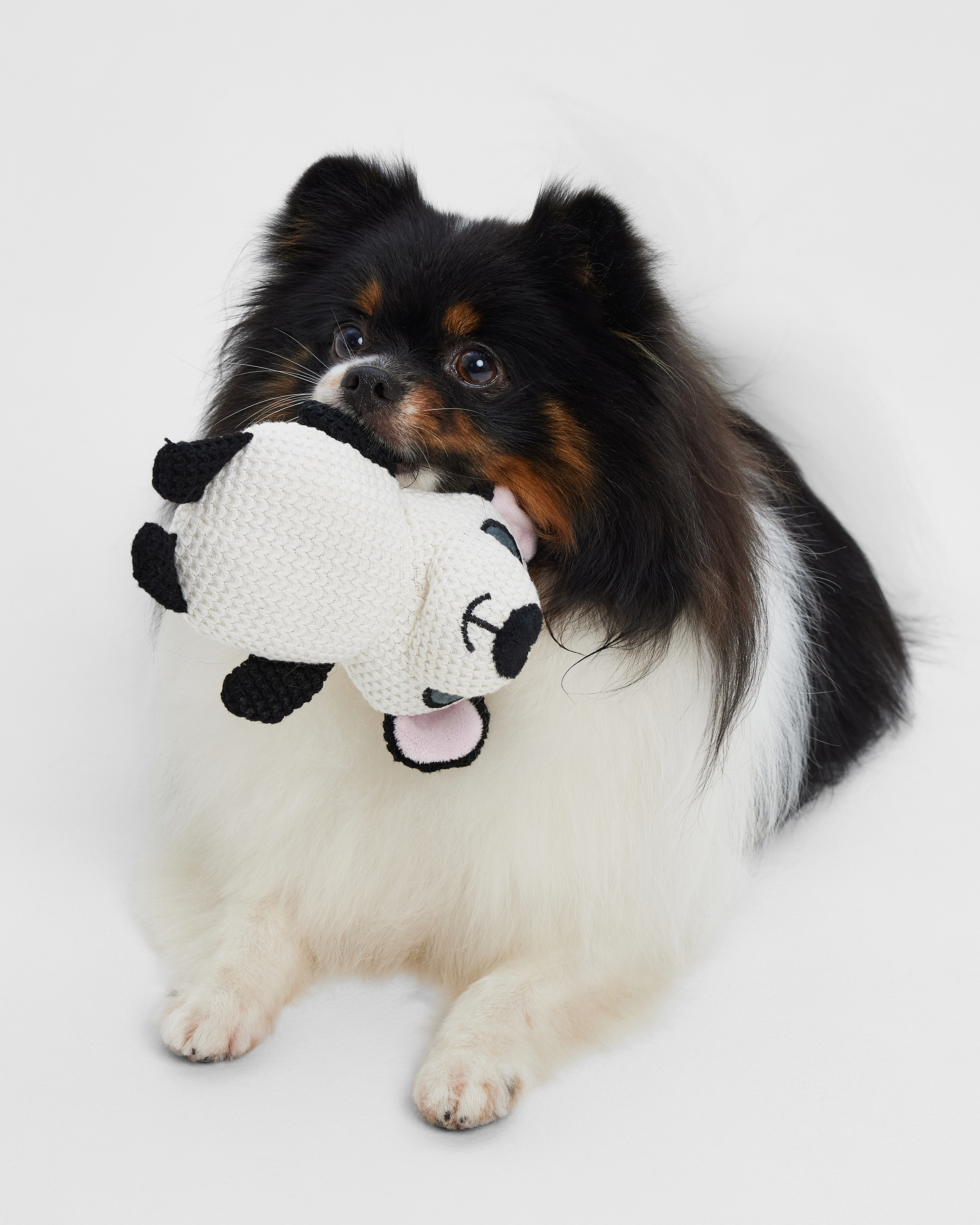 Игрушка для собак Barbaks Панда Яшка мягкий пищит 16*12см - фото 1