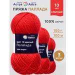 Пряжа Astra Premium Паллада акриловая 100 г 100 м 10 красный 3 мотка