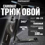 Трюковой самокат TopGear двухколесный