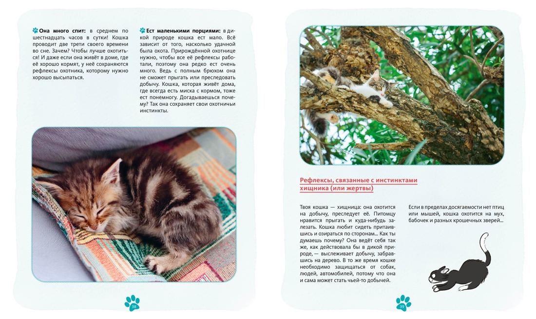 Книга Махаон Журно А. Я и моя кошка. Как понять питомца и стать ему другом - фото 10