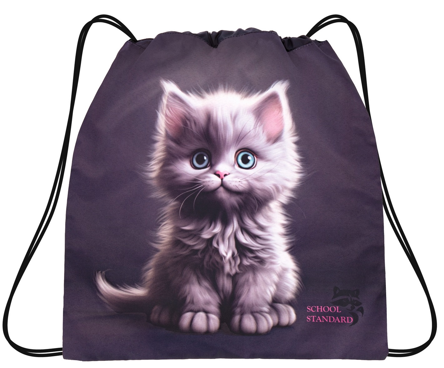 Мешок для обуви School Standard - фото 1