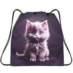 Мешок для обуви School Standard