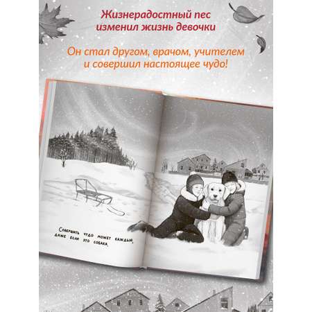 Книга Феникс Премьер Я помогу