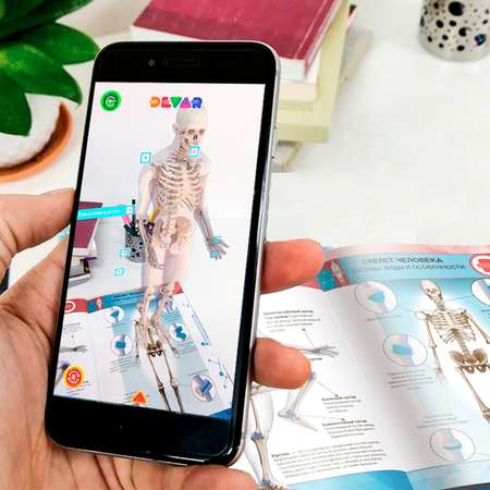 Книга DEVAR 4D Энциклопедия в мягкой обложке. Анатомия: тело человека