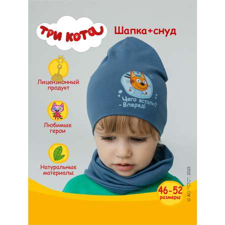 Шапка и снуд Три кота