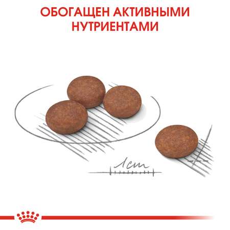 Корм для собак ROYAL CANIN Mini Digestive Care мелких пород с чувствительным пищеварением 1кг