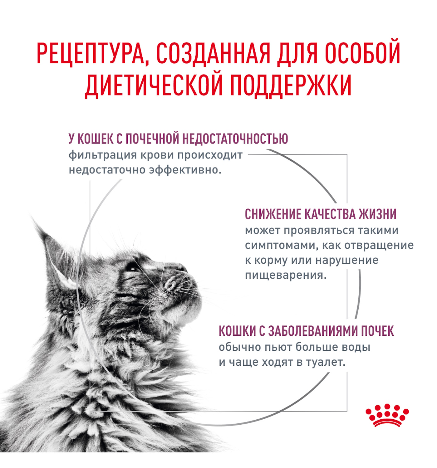 Корм для кошек ROYAL CANIN Renal RF23 лечение заболеваний почек 2кг - фото 3