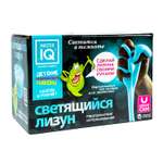 Слайм Master IQ2