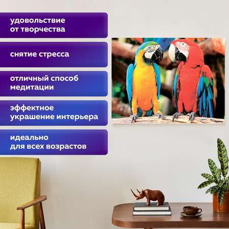 Алмазная мозаика Остров Сокровищ Попугаи