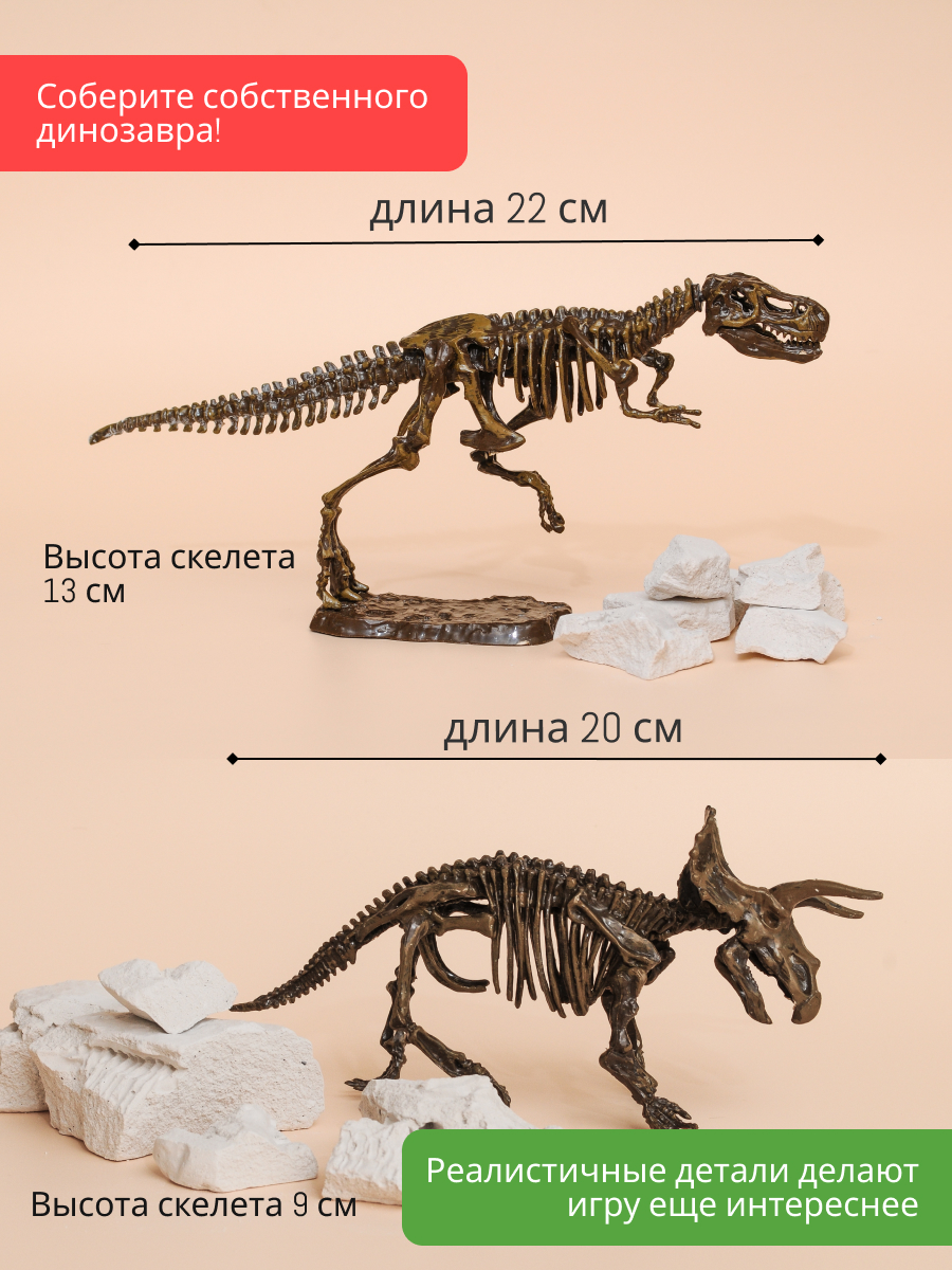 Набор для раскопок KONIK Science - фото 10